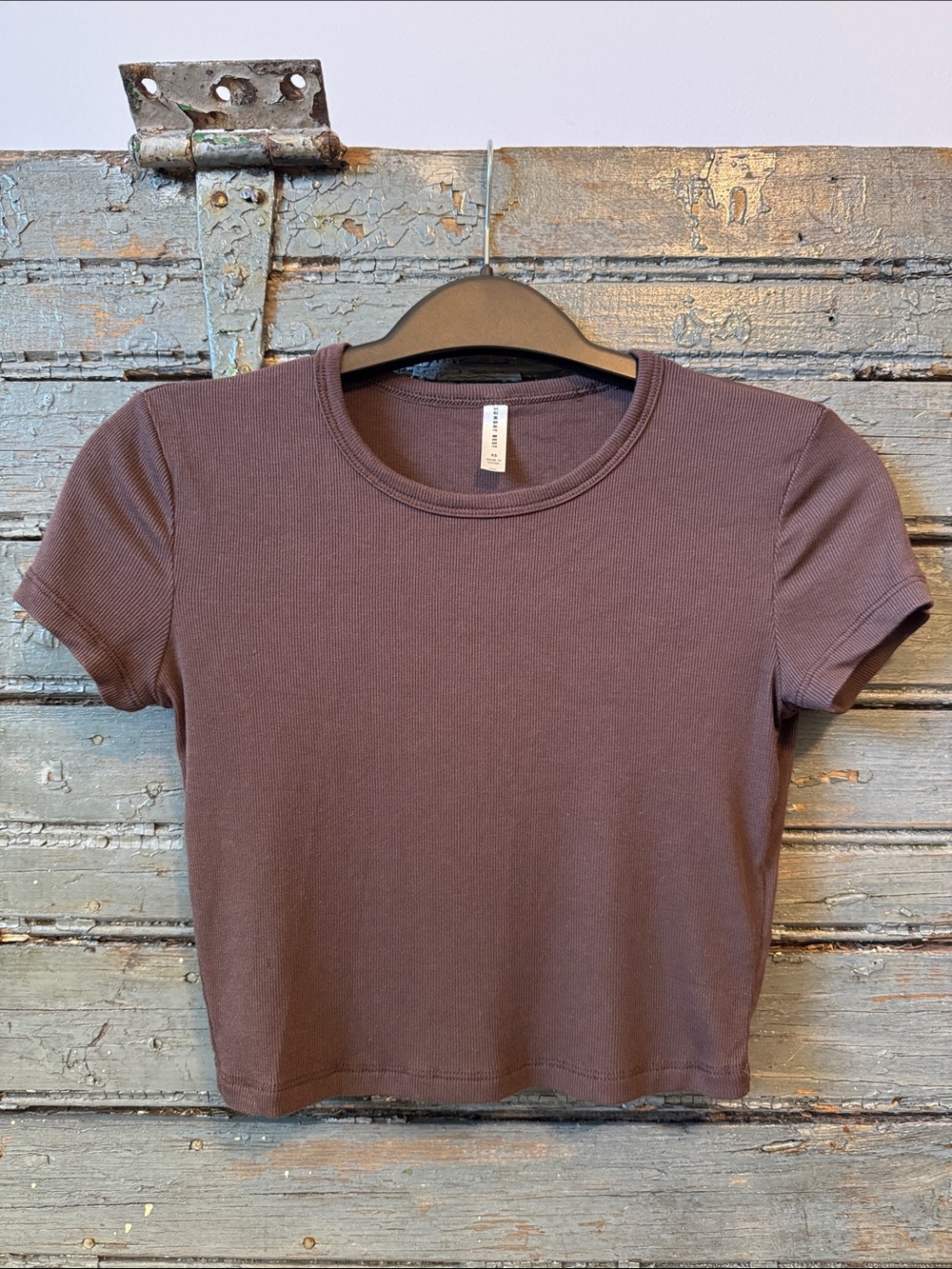 Aritzia Ribbed Crewneck Crop Top in Brown